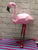 Printable Flamingo 3D Papercraft Model PDF Template