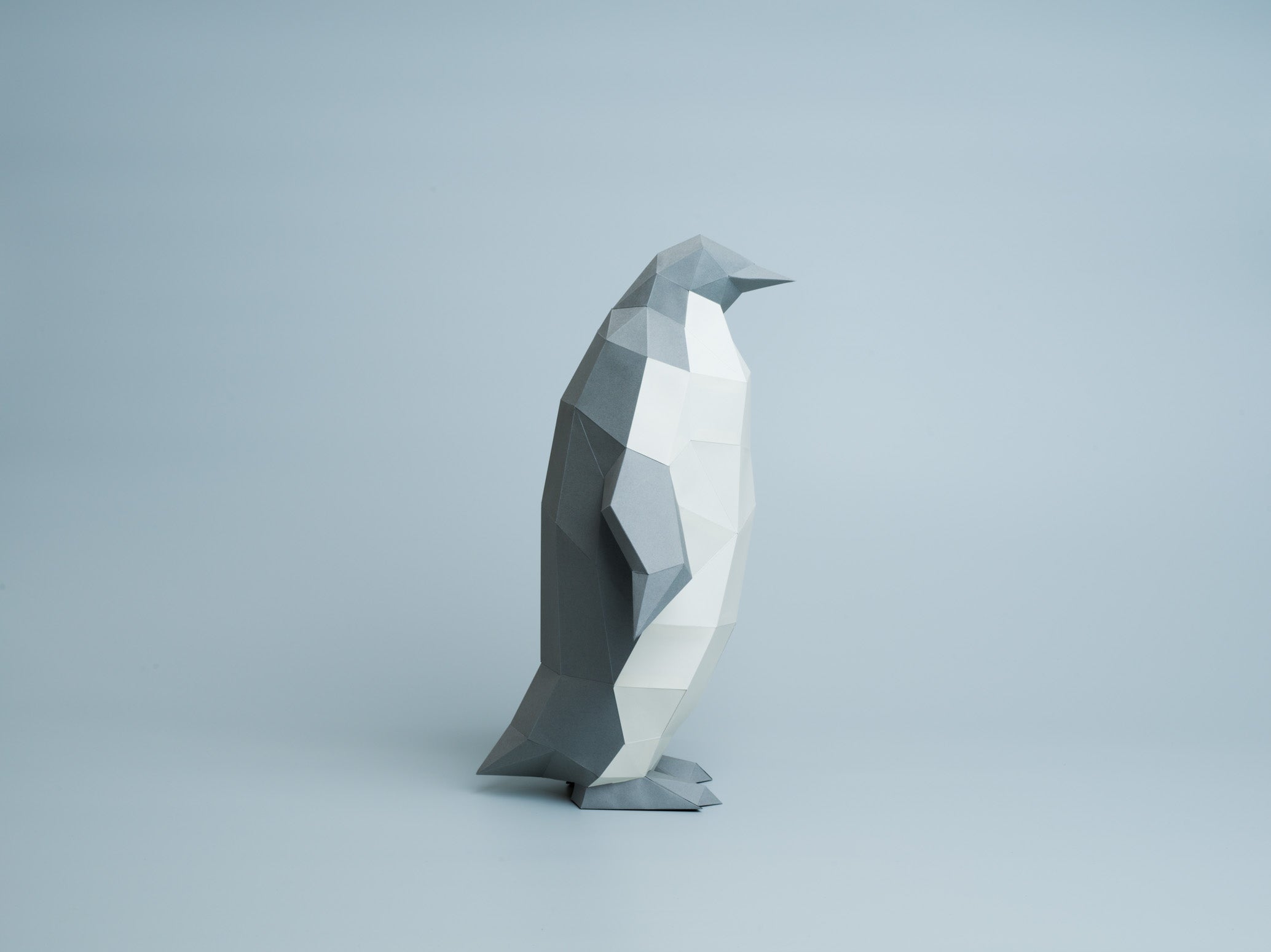 PENGUIN - Make your own geometric model using PDF template
